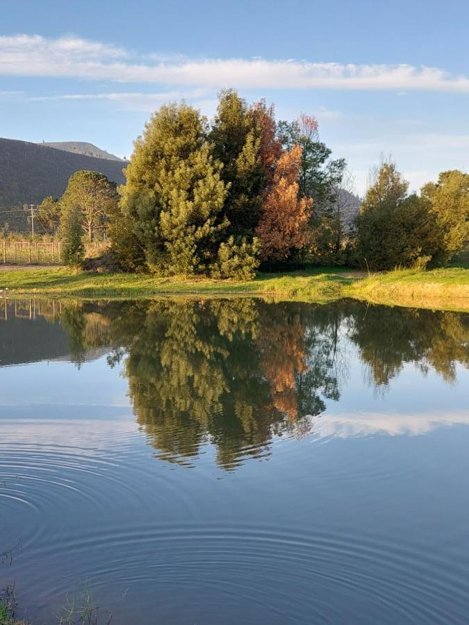 20 Good Summers Farm Stay The Crags Buitenkant foto