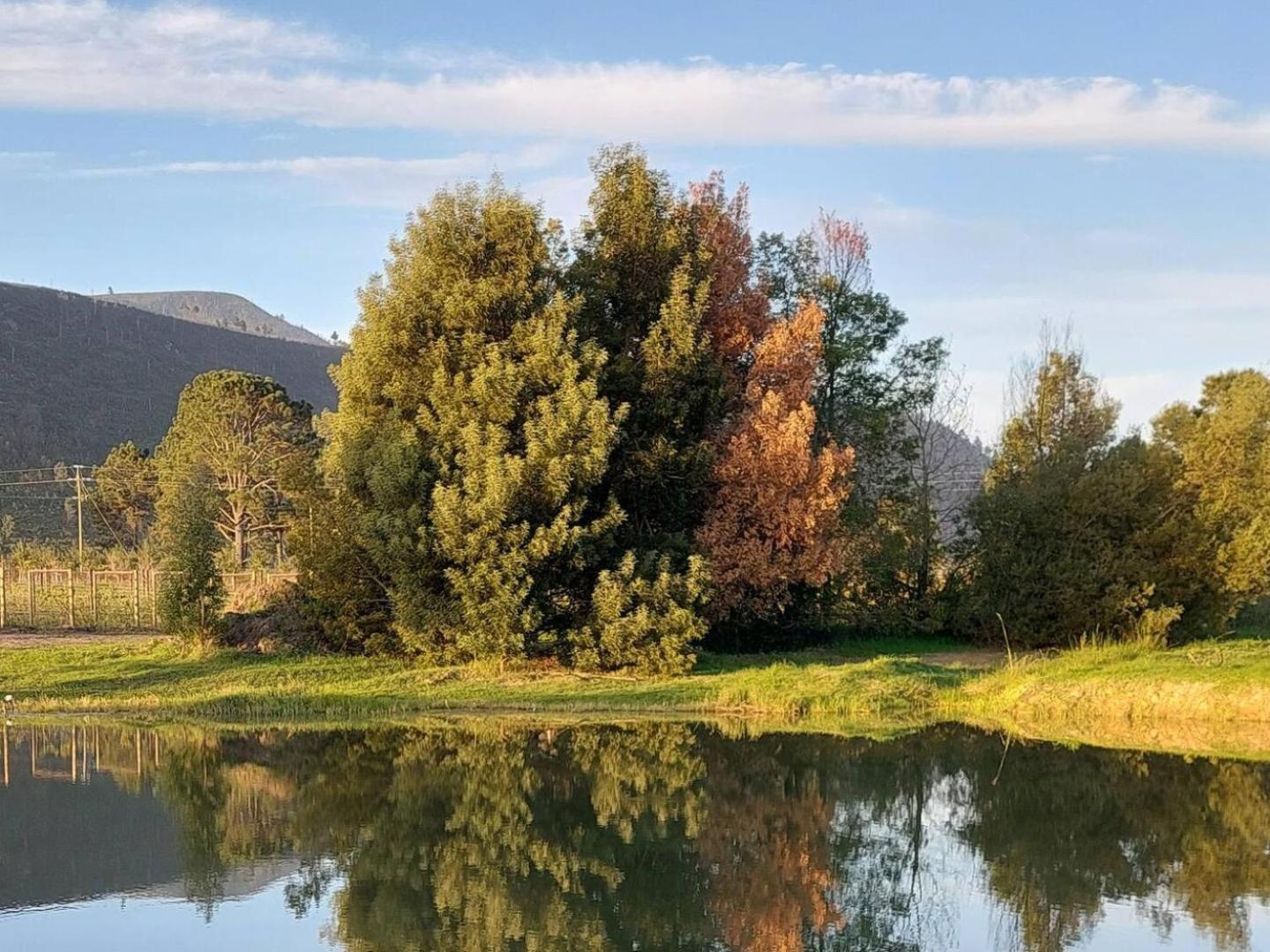 20 Good Summers Farm Stay The Crags Buitenkant foto