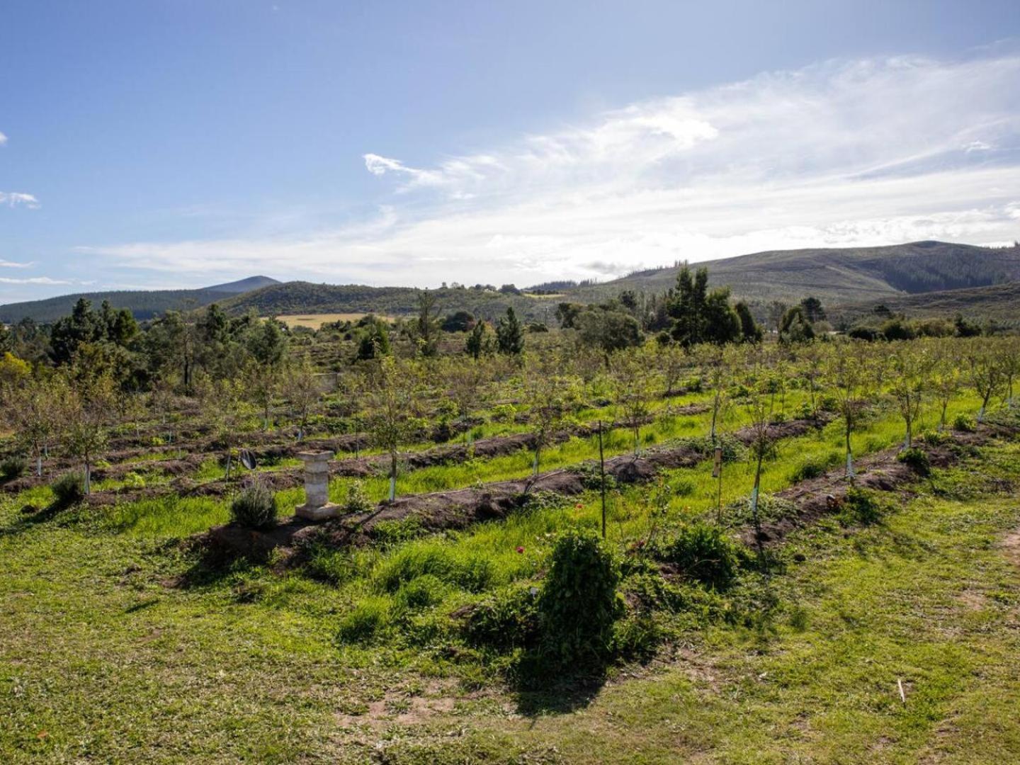 20 Good Summers Farm Stay The Crags Buitenkant foto