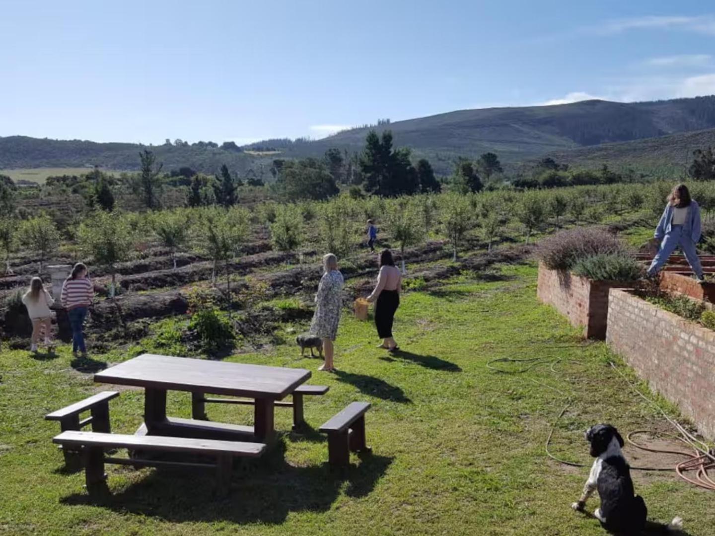 20 Good Summers Farm Stay The Crags Buitenkant foto