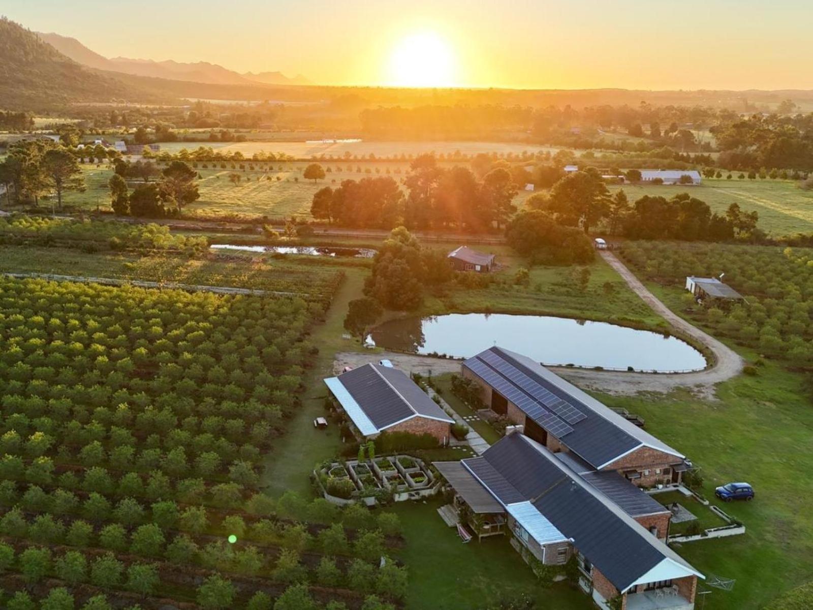 20 Good Summers Farm Stay The Crags Buitenkant foto