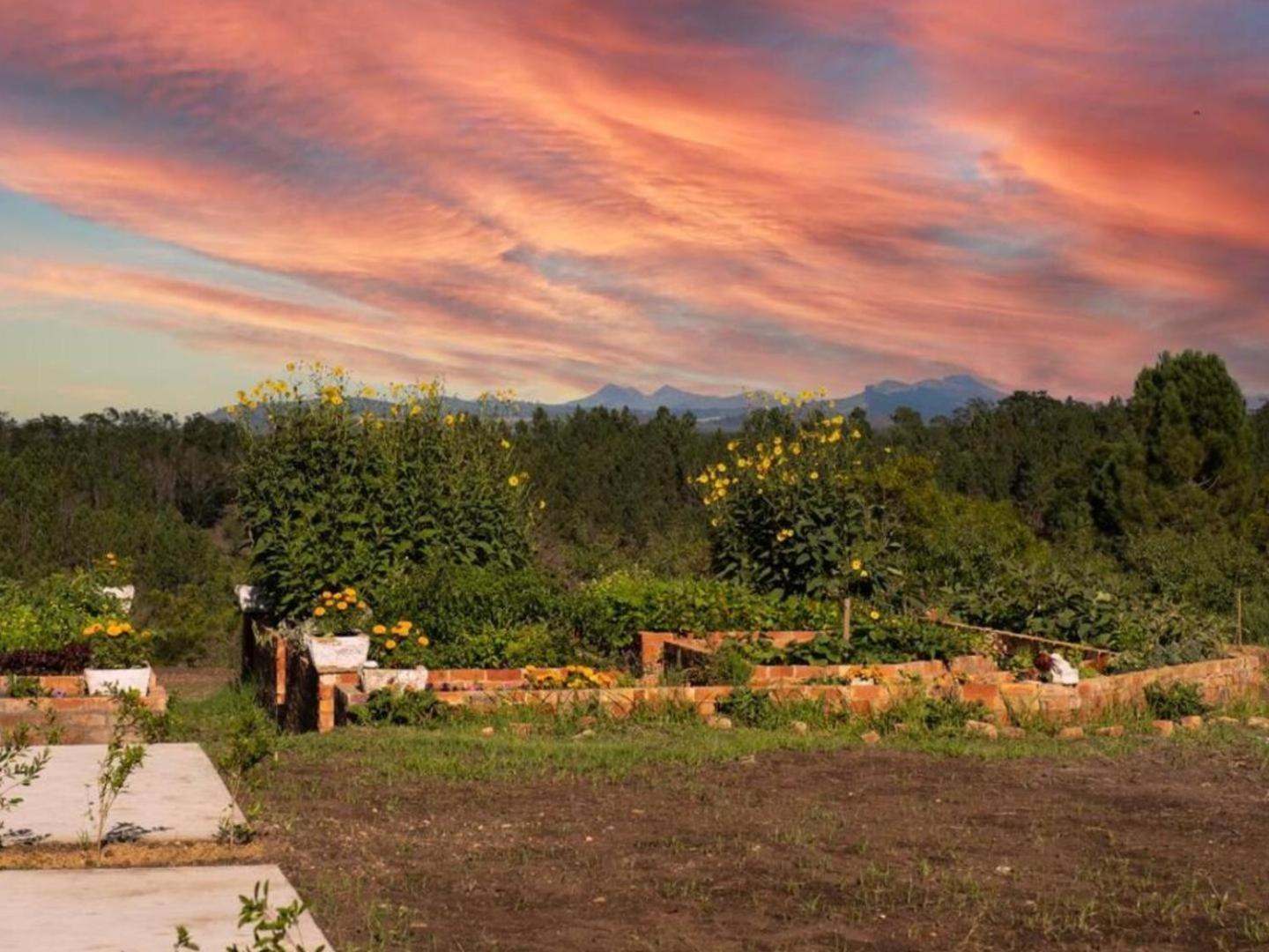 20 Good Summers Farm Stay The Crags Buitenkant foto