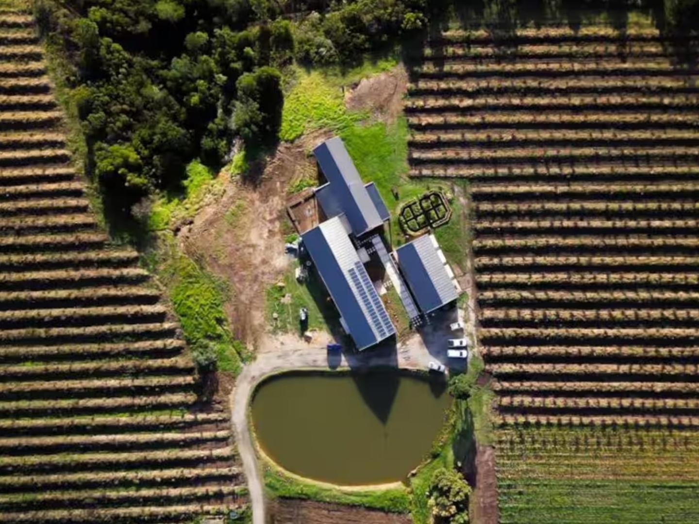20 Good Summers Farm Stay The Crags Buitenkant foto