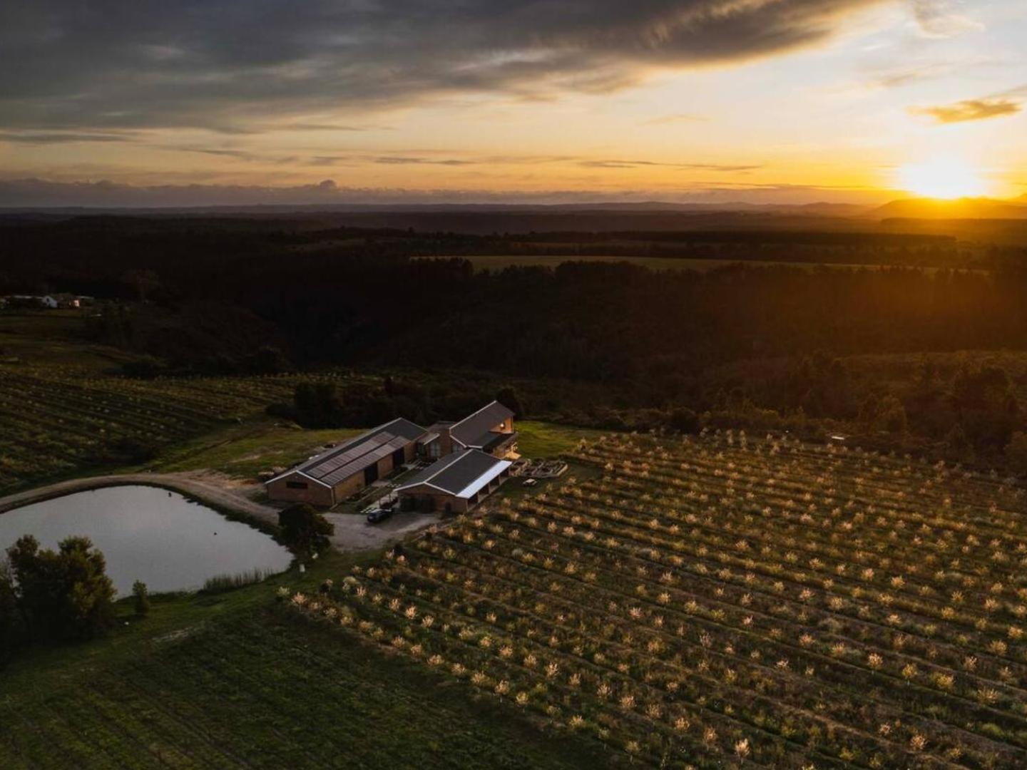 20 Good Summers Farm Stay The Crags Buitenkant foto